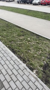 Воронеж. Сегодня.