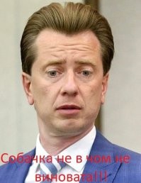 А если девочка со школы одна шла!? У нас есть в думе очень активная зоошиза (Бурматов) которая топит за защиту собак от людей!