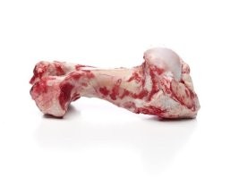 Награду пёселю!!!!