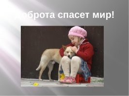 30+ счастливых животных, которые обрели дом и семью
