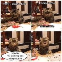 Большая порция улыбатора