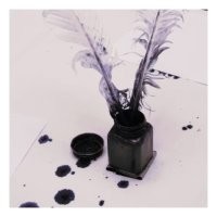 Кровожадная Энни убила ещё двух мужей – отравила, выдав смерти за уход от болезни. А чтобы скрыть следы, она никого не подпускала к телам и утопила их в море. Считается, что расправиться с ведьмой можно было только во время секса. Рабы сговорились, и Белую ведьму изрезал ножом один из её любовников-рабов по имени Такоо.
----------------------------------------------------------------------------------------
Ну все встало на свои места.  Эта ... сцука была ... со стажем
