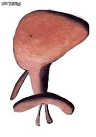 Две дырки внизу