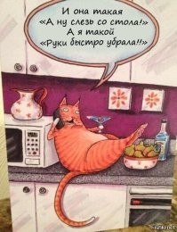 Весёлые картинки