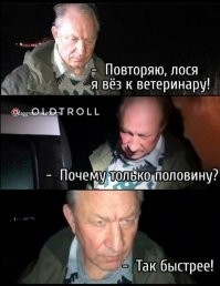 Стало известно, где спрятаны миллиарды рублей судьи Хахалевой