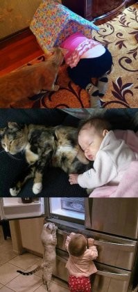 Договорятся.