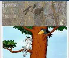 Фото суббота