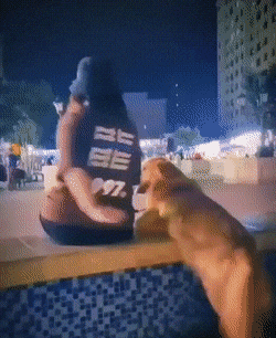 Просто гифки, всякие и разные