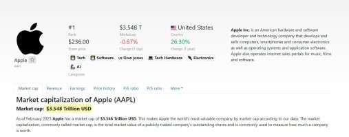 Не знаю, зачем вы просите. Но, если уж совсем с интернетом не в ладах и английский не учили - вот вам свежая информация на февраль  2025. Хотя,  я б на вашем месте, такими вещами интересовался на профильных  ресурсах. Тут, 99% пользователям плевать с высокой колокольни - какая там капитализация у Эпл или Амазон итд.