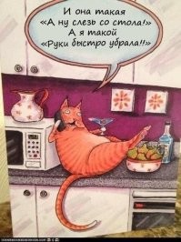 Пользователи показывают и рассказывают, как «отучить» кошек залезать на стол