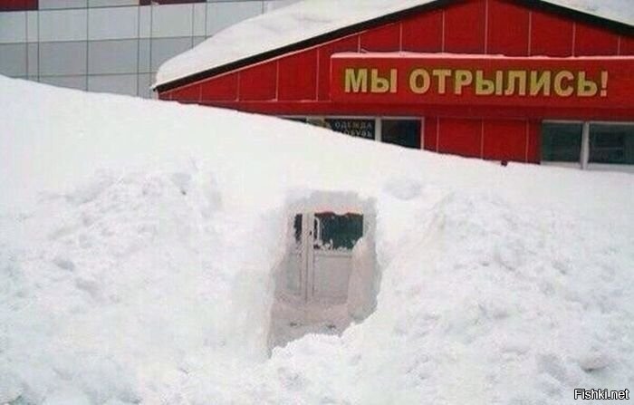 Дальний Восток, наши дни.