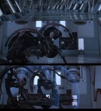 Колобки.  

С 11:40