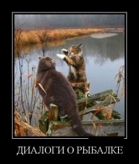 &nbsp;Не ищите здесь смысл. Здесь в основном маразм