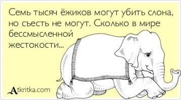 Кому то не покуй???