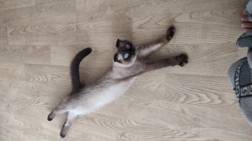 Мой балбес.