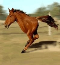 Скрины из соцсетей