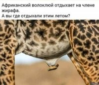 Зима. Горнолыжная трасса. Лыжник в полной экипировке: палки, лыжи, очки, шлем, костюм. Несётся он с горы и падает. Встаёт: палки погнуты, лыжи поломаны, костюм  - в клочья, очки разбиты, лицо в крови. Отряхивается и говорит:
- А всё равно лучше, чем на работе!