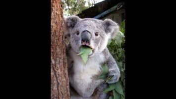 В Москве женщина ищет миллиардера для серьёзных отношений