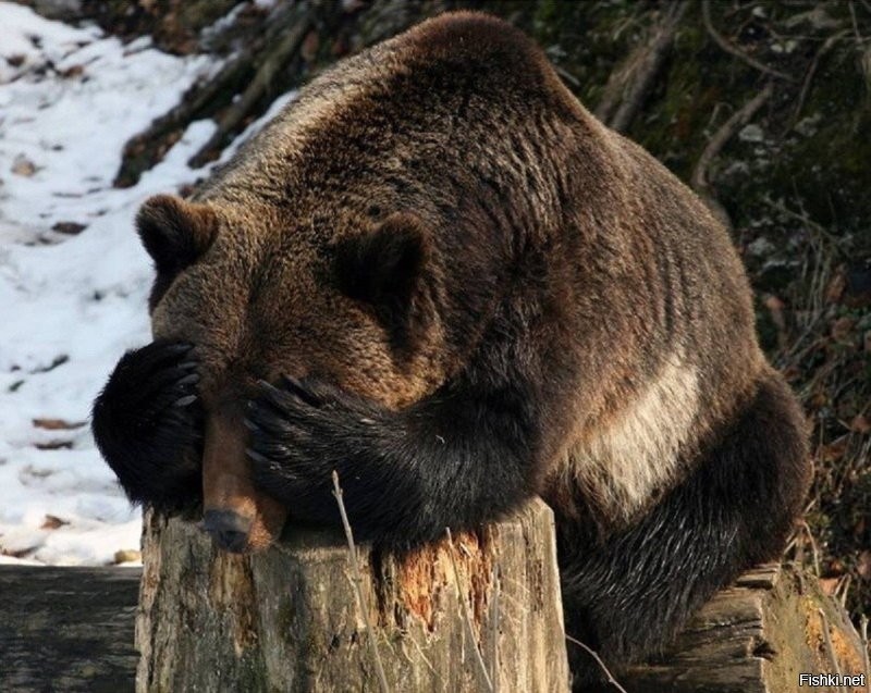 Тут я! Поспать не дадут