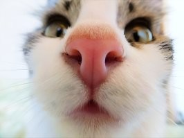 Скрины из соцсетей&nbsp;&nbsp;&nbsp;&nbsp;&nbsp;&nbsp;&nbsp;&nbsp;&nbsp;&nbsp;&nbsp;&nbsp;