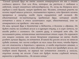 Радость дружбы и боль потери: пользователи обсудили плюсы и минусы собаки в семье