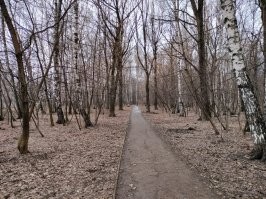 Московская область