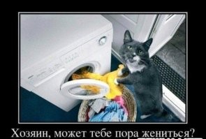 20 забавных помогаторов, которые помогают хозяевам в быту и зарабатывать деньги