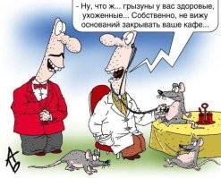Жительница Владивостока  сняла на видео упитанную крысу в супермаркете