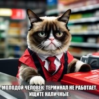 23 котика, освоивших профессию кассира и отлично справляющихся с работой