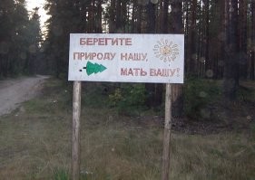 Аномально тёплая зима 2024-2025. Что происходит с природой? Как реагируют животные?