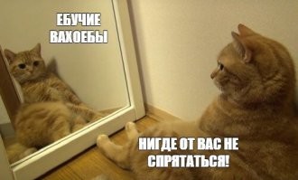 Скрины из соцсетей