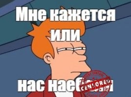 Мужчина приютил бездомного котенка, но он оказался совсем другим животным