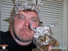 Кошки против фольги