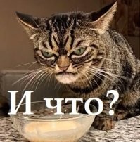 Выдра как домашний питомец