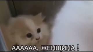 Скрины из соцсетей