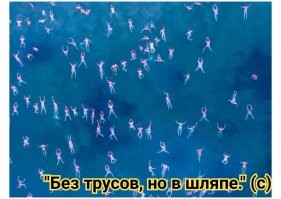 Всё вразнобой&nbsp;