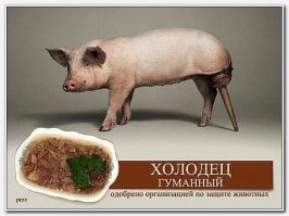 На счет кроличьих ушей не скажу, но когда ради холодца или маринованных ножек рука не поднимается забить кабанчика