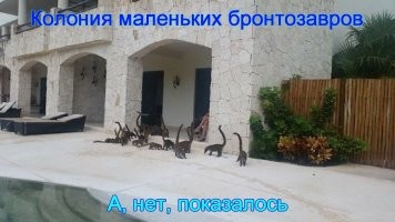 Фотограф заснял миниатюрных динозавров