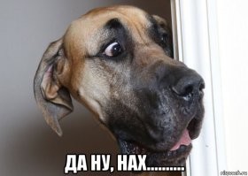 Нейросетевая история о любовном треугольнике