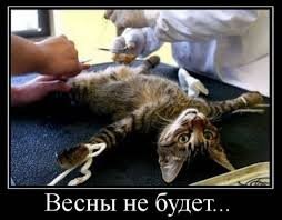 35 довольно любопытных снимков со всего мира