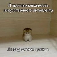 Ну а что делать, если