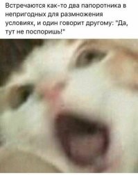 Скрины из соцсетей&nbsp;&nbsp;&nbsp;&nbsp;&nbsp;&nbsp;&nbsp;&nbsp;&nbsp;&nbsp;&nbsp;&nbsp;