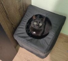 Черная дыра на тебя смотрит!