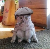 Чёткий пацан,