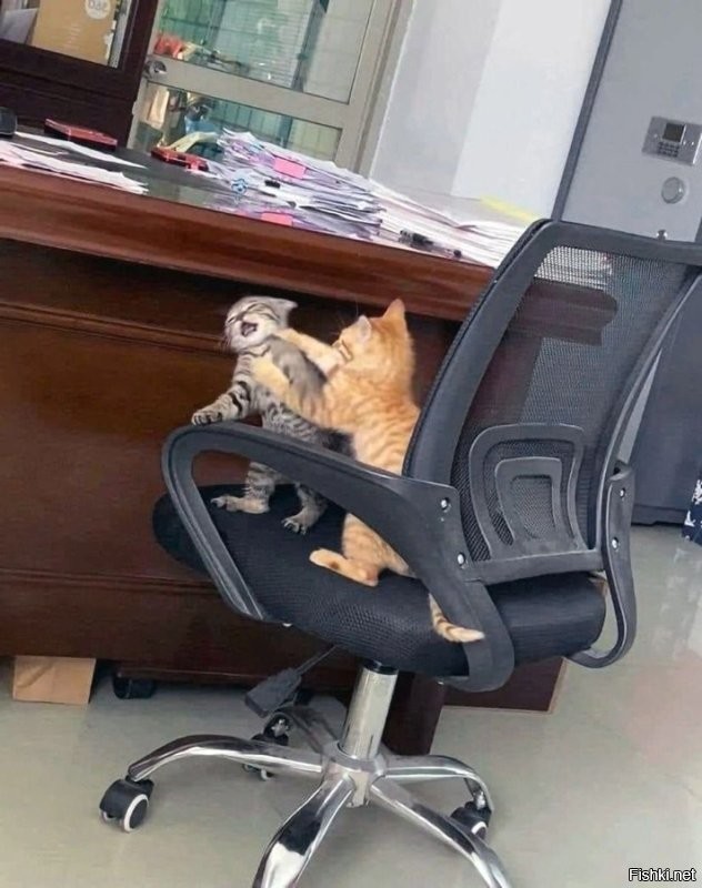...а вдвоём-вдвойне веселей...