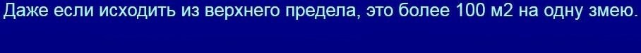 Остров Кеймада-Гранди – территория страшных пресмыкающихся
