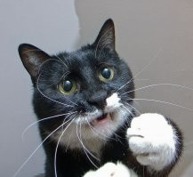 Скрины из соцсетей&nbsp;&nbsp;&nbsp;&nbsp;&nbsp;&nbsp;&nbsp;&nbsp;&nbsp;&nbsp;&nbsp;&nbsp;