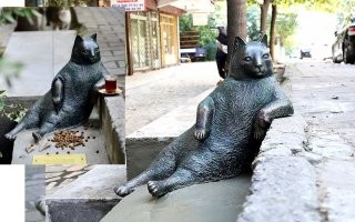 Известный турецкий котик Томбили.
После его смерти на этом месте сделали его скульптуру.