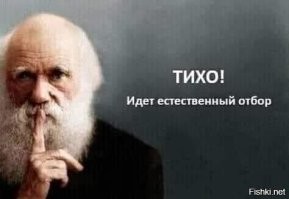 В турецкой Анталье россиянка упала со скалы, делая селфи