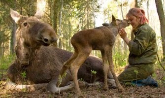 Ну поисковик говорит, что фермы ещё существуют